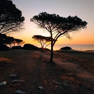 Asfodelo Casa vacanze